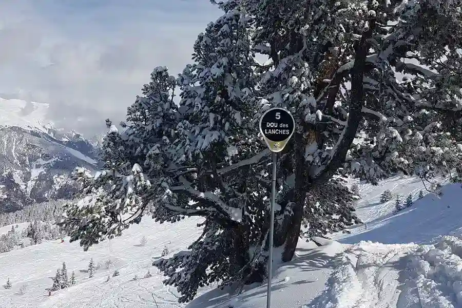 Doue de lanches - footer image 2