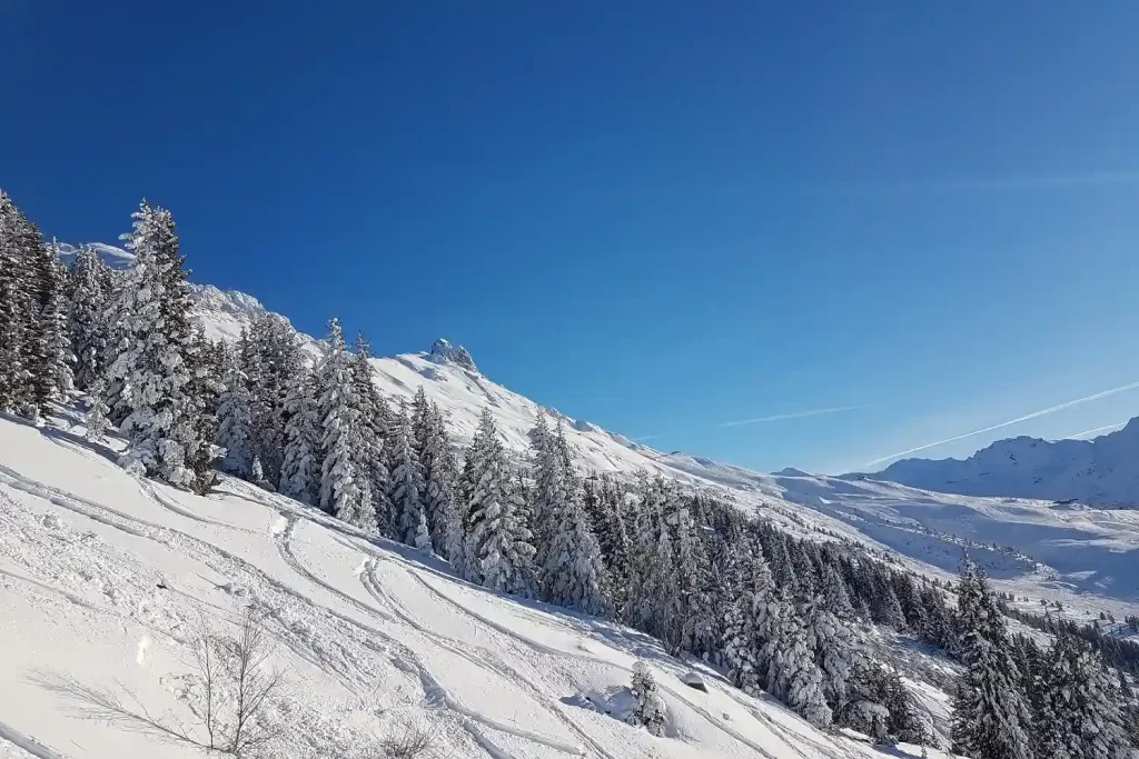 Exclusive ski chalet exterior view in Meribel