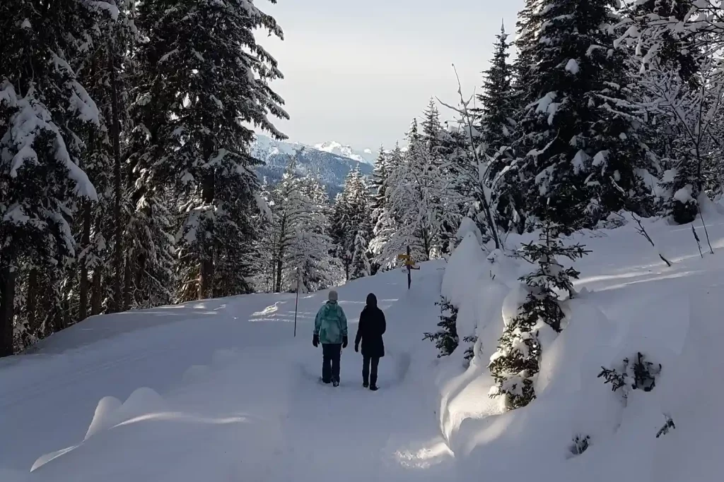 APRES page - footer image 2